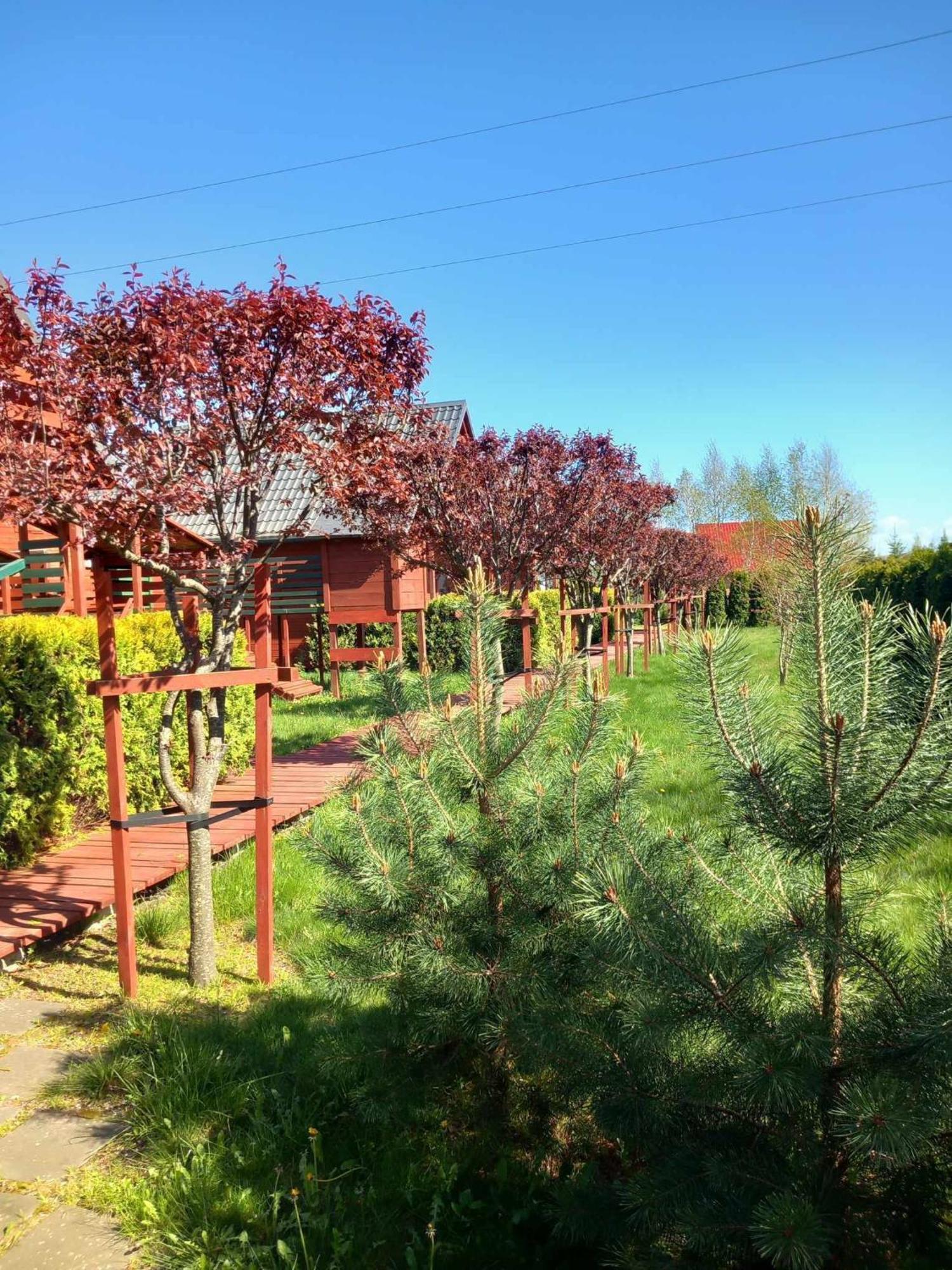 Villa Mandarynka Ow Jarosławiec Esterno foto